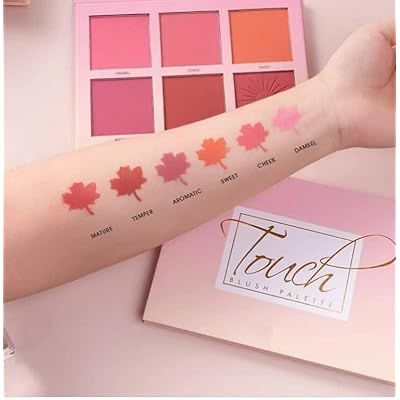 IMAGIC 6 Color Touch Blush Palette