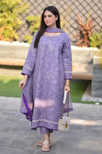 Bareeze 3 Piece Winter Collection